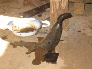 49-ANTSIRABE reemplazar una escultura de cuerno de cebú